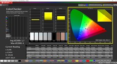 CalMAN ColorChecker（目标色彩空间P3）。