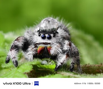 (图片来源：vivo）