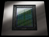 Nvidia 基于 Blackwell 架构的 SoC。(图片来源：Nvidia） 
