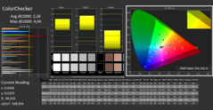 Calman ColorChecker。DCI-P3色彩空间