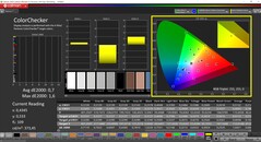 已校准 CalMAN ColorChecker（配置文件：P3，目标色彩空间：P3）