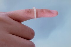 哈雷-维滕贝格马丁路德大学开发的 3D 打印驱虫环（图片来源：哈雷大学/Fanfan Du）