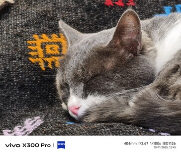 Vivo X300 Pro 400 毫米，不带远摄转换器。