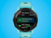 Forerunner 265系列有两种尺寸。(图片来源: Garmin)