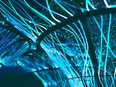 光缆还可以用来创作艺术作品。(图片来源：Pexels/Georgie Devlin）