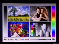 宽广的 OLED 视角