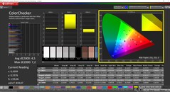 CalMAN ColorChecker（配置文件：P3，目标色彩空间：P3）