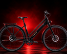 Trek Inbound+ 电动自行车搭载了博世(Bosch)的 Hub Line 250 瓦电机