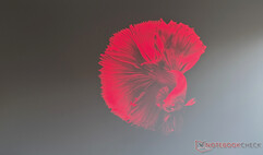 当贝 MP1 最大图像质量日光