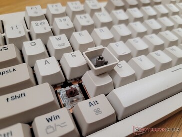 Gateron G Pro棕色开关设计用于模仿Cherry MX棕色