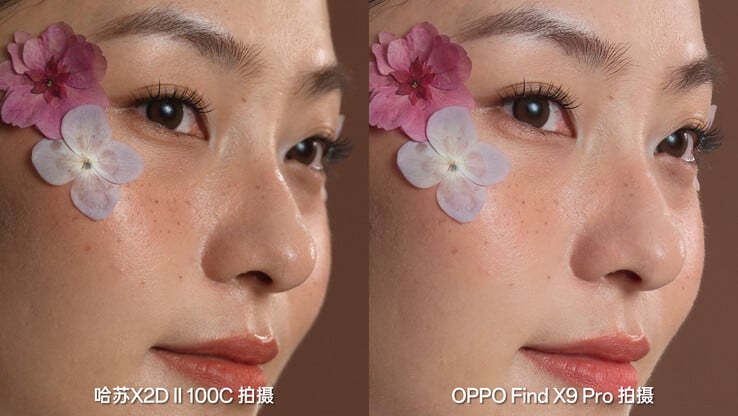 详细对比。(图片来源：周益宝）
