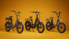 RadRunner Max Cargo 多用途电动自行车配有一个 750 瓦的后置电机（图片来源：Rad Power Bikes）