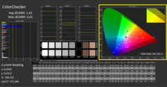 经过校准的Calman Colorchecker