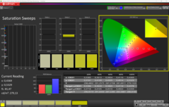 卡尔曼饱和度 (P3)
