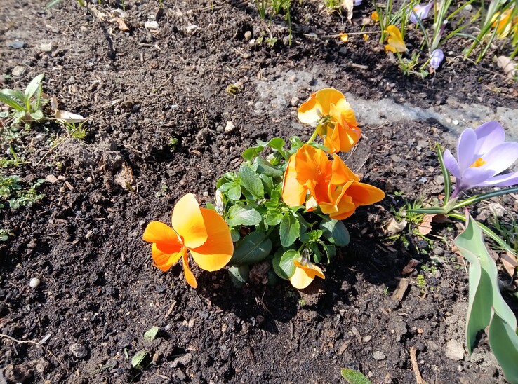 联想 Tab K11 Gen 2