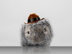 卡尔斯鲁厄机械博物馆(ZKM Karlsruhe)的电子宠物动物园开放至 2026 年 8 月 2 日。(图片来源:卡尔斯鲁厄 ZKM)