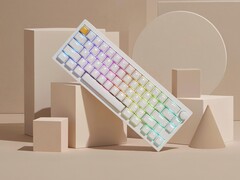 Lemokey P2 HE 无线游戏键盘，白色，透亮键帽。(图片来源：Lemokey）