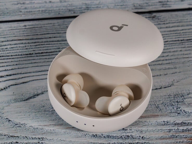 (图片来源：丹尼尔-施密特）