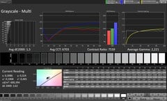 灰度(配置文件:Original Pro,目标色彩空间:sRGB)