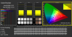 已校准的CalMan ColorChecker