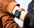 Apple Watch 的电池续航时间目前是许多用户头疼的问题。(图片：Sayan Majhi）