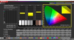 CalMAN ColorChecker（配置文件：P3 摄影，目标色彩空间：P3）