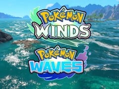 《Pokémon Winds and Waves》中所见的海洋与岛屿