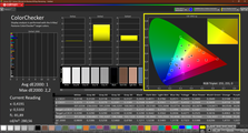 CalMAN: ColorChecker (已校准)