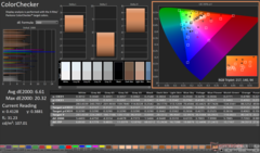 校准前的 ColorChecker