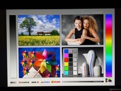 OLED 的宽广可视角度