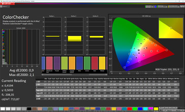 色彩准确度（显示模式：专业版，目标色彩空间：sRGB）