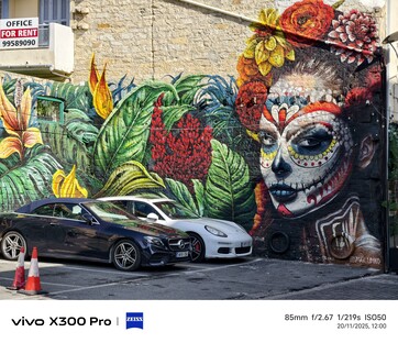 vivo X300 Pro：照片样本