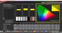 CalMAN ColorChecker（配置文件：sRGB，目标色彩空间：sRGB）