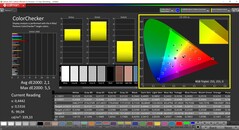 CalMAN ColorChecker（配置文件：DisplayP3，目标色彩空间：P3）。