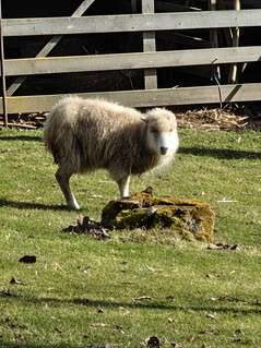 主摄像头(20 倍变焦)