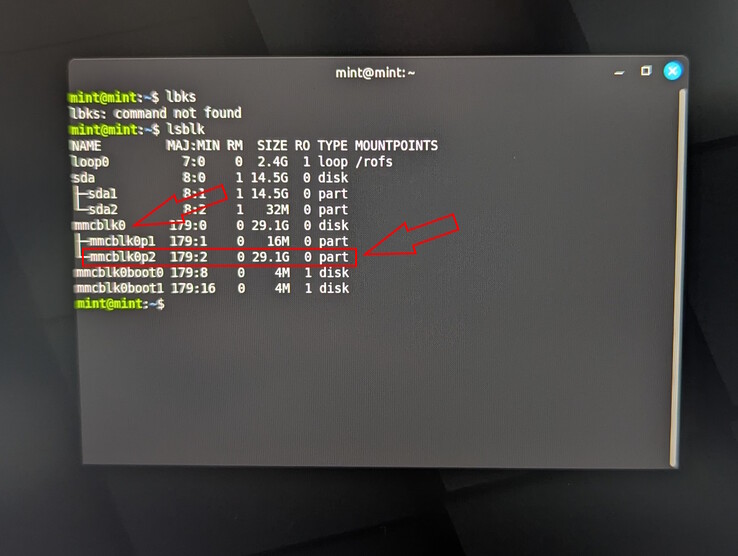 使用 lsblk 进行最终检查，显示已扩展分区大小（29 GB）