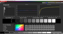 CalMAN灰度（配置文件：DisplayP3，目标色彩空间：P3）