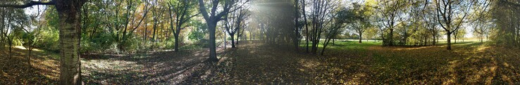 The Pixel XL makes good panorama photos.