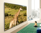 LG QNED84B 电视机的宣传图片。