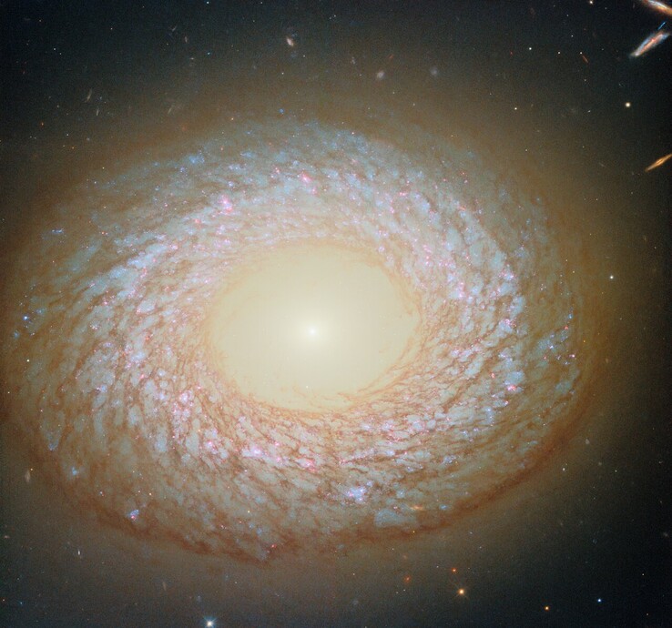 哈勃拍摄的 NGC 2775 图像（图片来源：欧空局/哈勃、美国国家航空航天局、F. Belfiore、J. Lee 和 PHANGS-HST 小组）