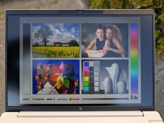 明亮阴天下的户外活动