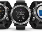 Fenix 6系列应该即将收到另一个稳定的更新。(图片来源：Garmin)