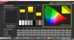 CalMAN ColorChecker校准（目标色彩空间P3）。