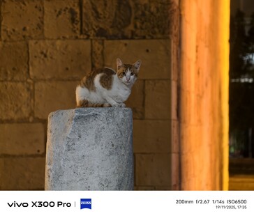 Vivo X300 Pro 200 毫米，带远摄转换器。