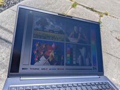 在阳光下的户外