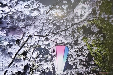 局部调光设置为高。叶片周围的阴影和灰色失去了层次感，显示出局部调光功能的局限性