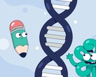 CASGEVY 疗法利用基因编辑技术治疗镰状细胞病。(来源：顶点制药公司）