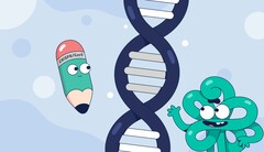 CASGEVY 疗法利用基因编辑技术治疗镰状细胞病。(来源：顶点制药公司）