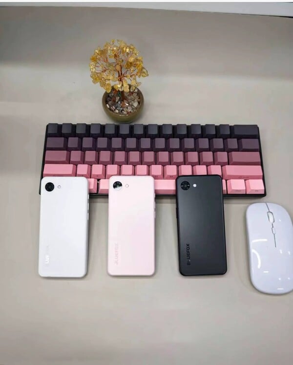 Bluefox Aura A1 配备单后置摄像头。