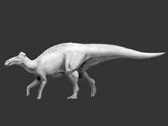 埃德蒙顿龙（Edmontosaurus annectens）是已知的第一种拥有蹄状足的恐龙。 （图片来源：Science.org